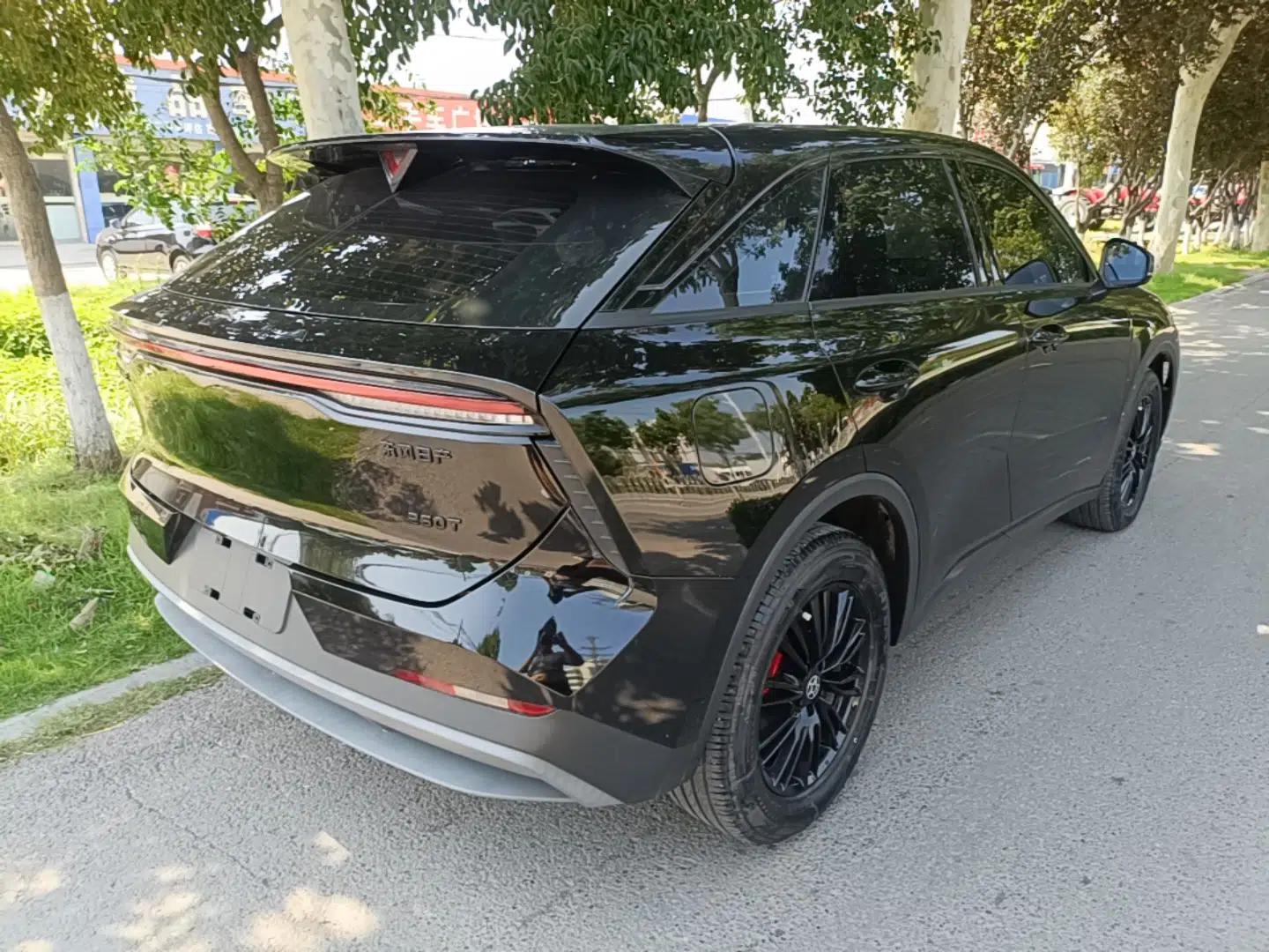 Venucia V 2023 260T Black Horse Edition Pro — миниатюра 6