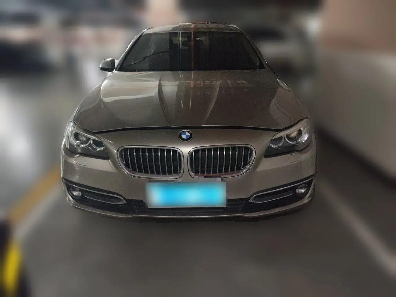 BMW 5 Series 2014 525Li Luxury Design Package — миниатюра 2
