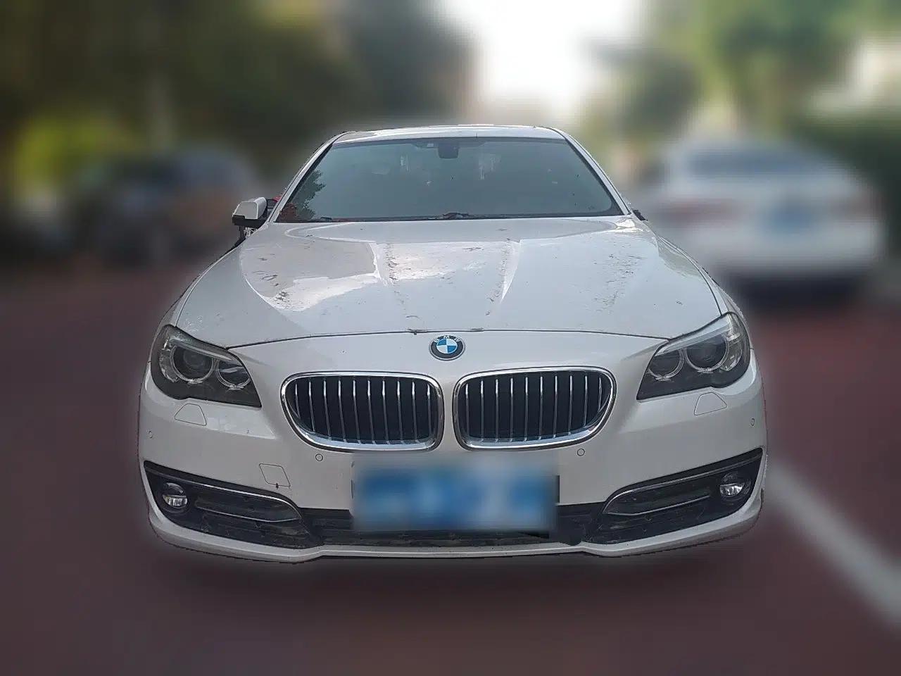 BMW 5 Series 2014 525Li Luxury Design Package — миниатюра 2
