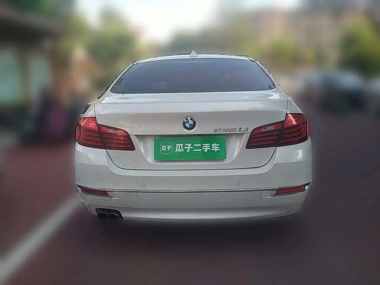BMW 5 Series 2014 525Li Luxury Design Package — миниатюра 5