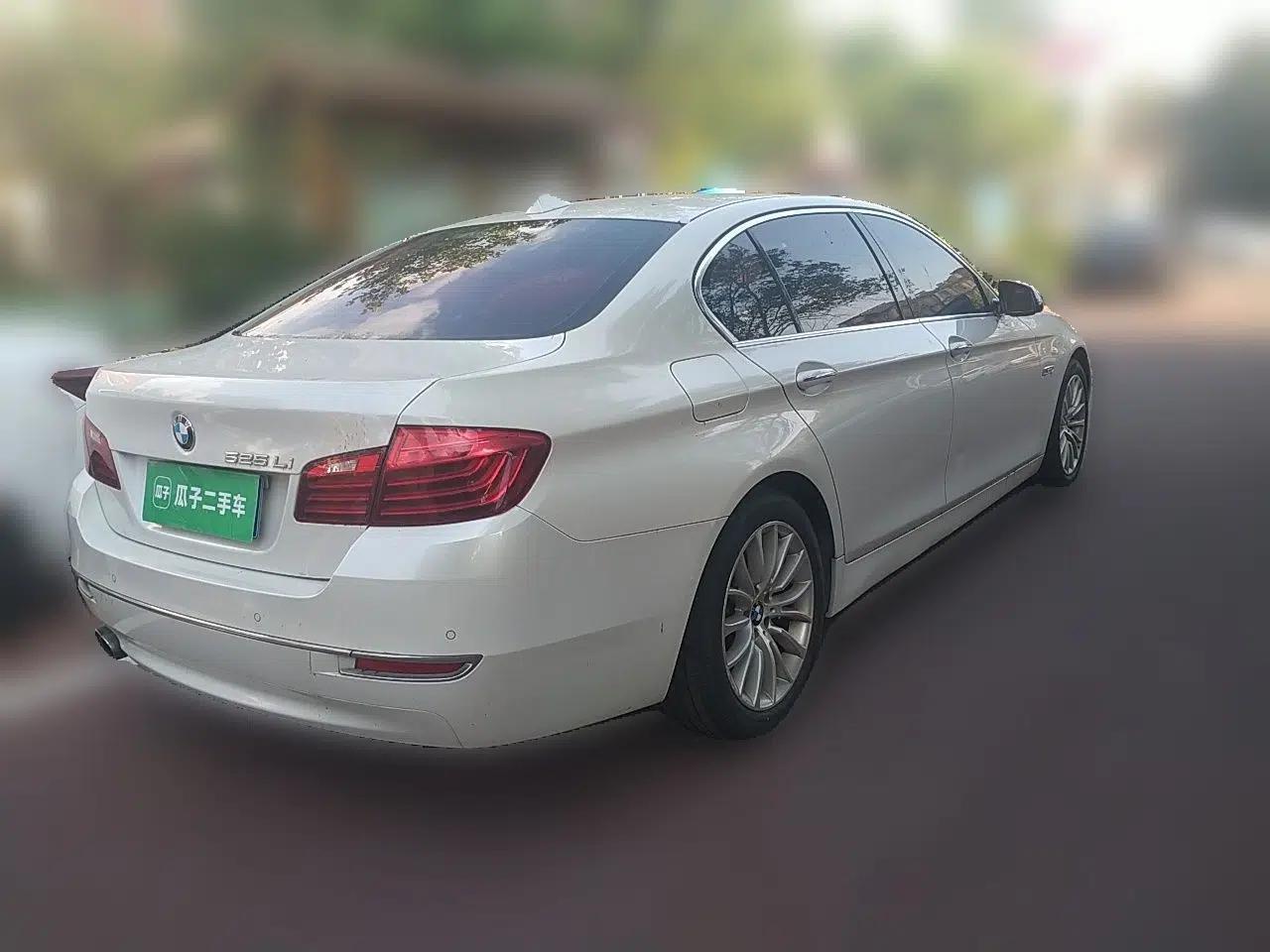 BMW 5 Series 2014 525Li Luxury Design Package — миниатюра 6