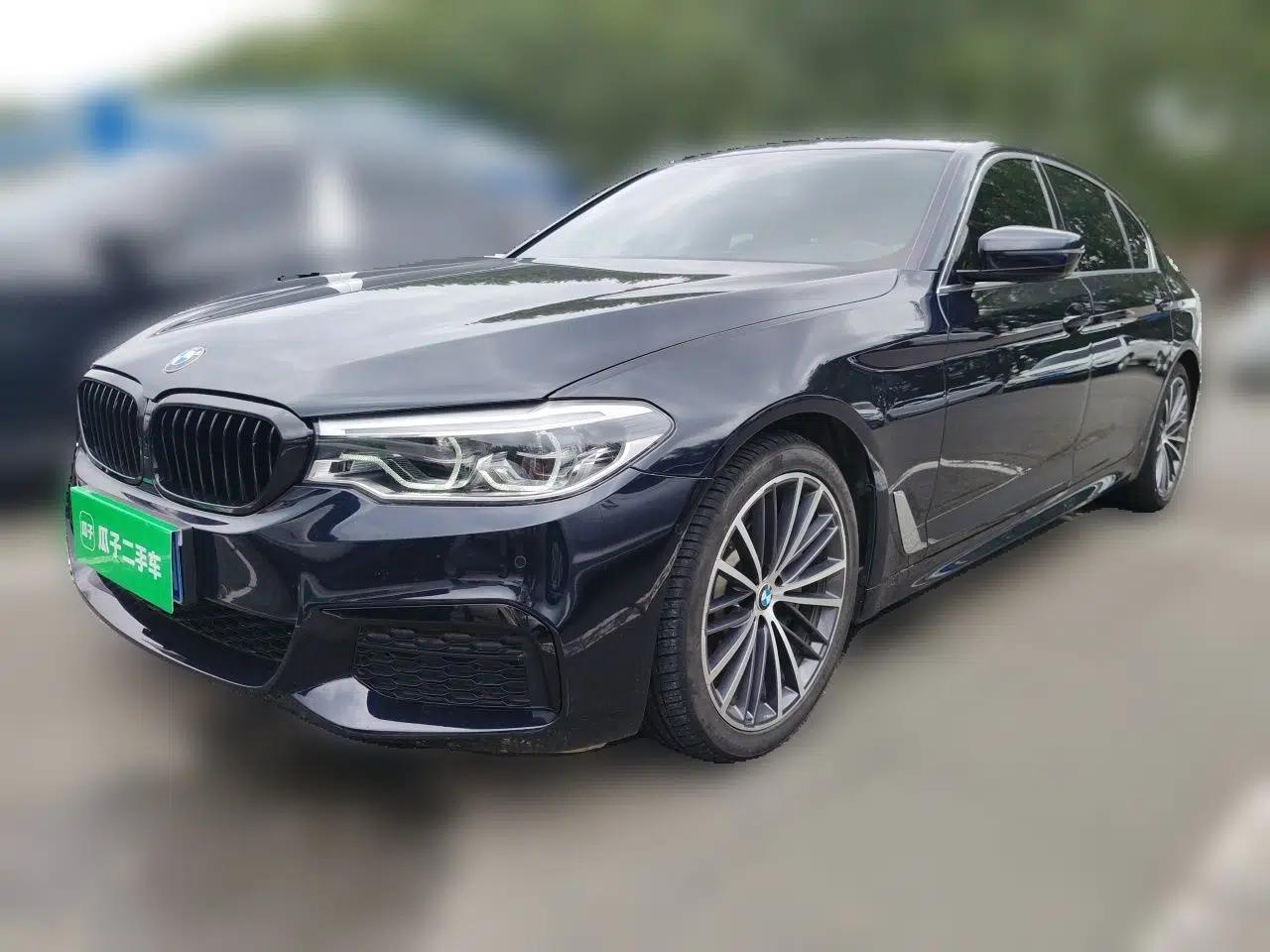 BMW 5 Series 2020 530Li xDrive M Sport Package — миниатюра 1
