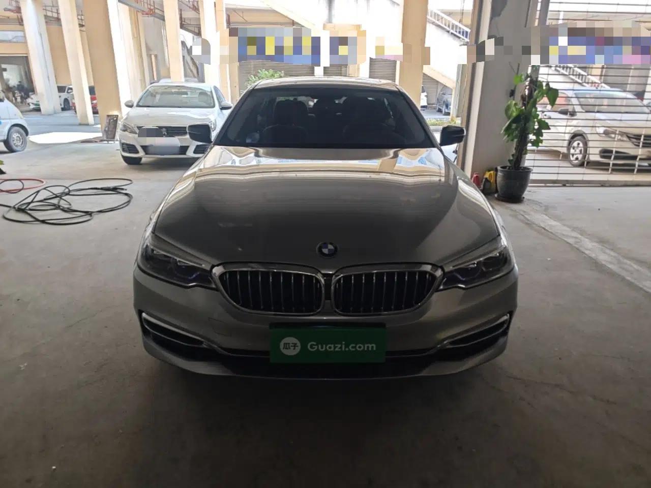 BMW 5 Series 2020 530Li Leading Edition Luxury Package — миниатюра 2