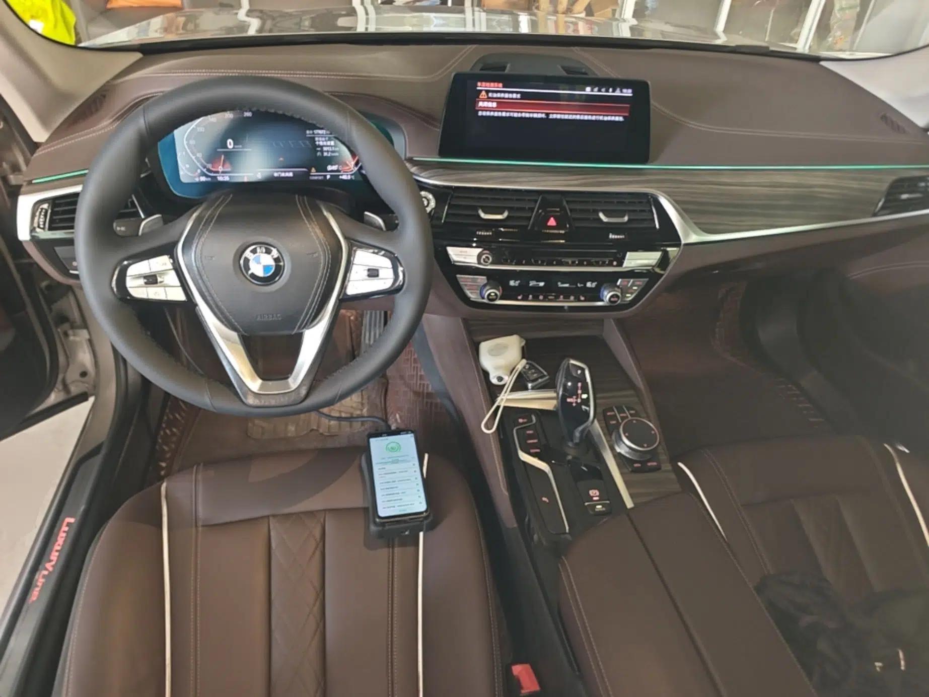 BMW 5 Series 2020 530Li Leading Edition Luxury Package — миниатюра 12