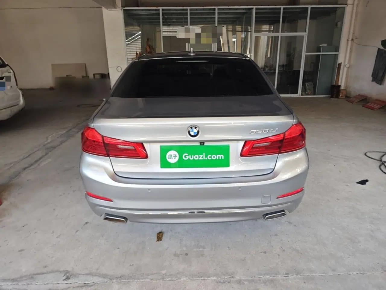 BMW 5 Series 2020 530Li Leading Edition Luxury Package — миниатюра 5