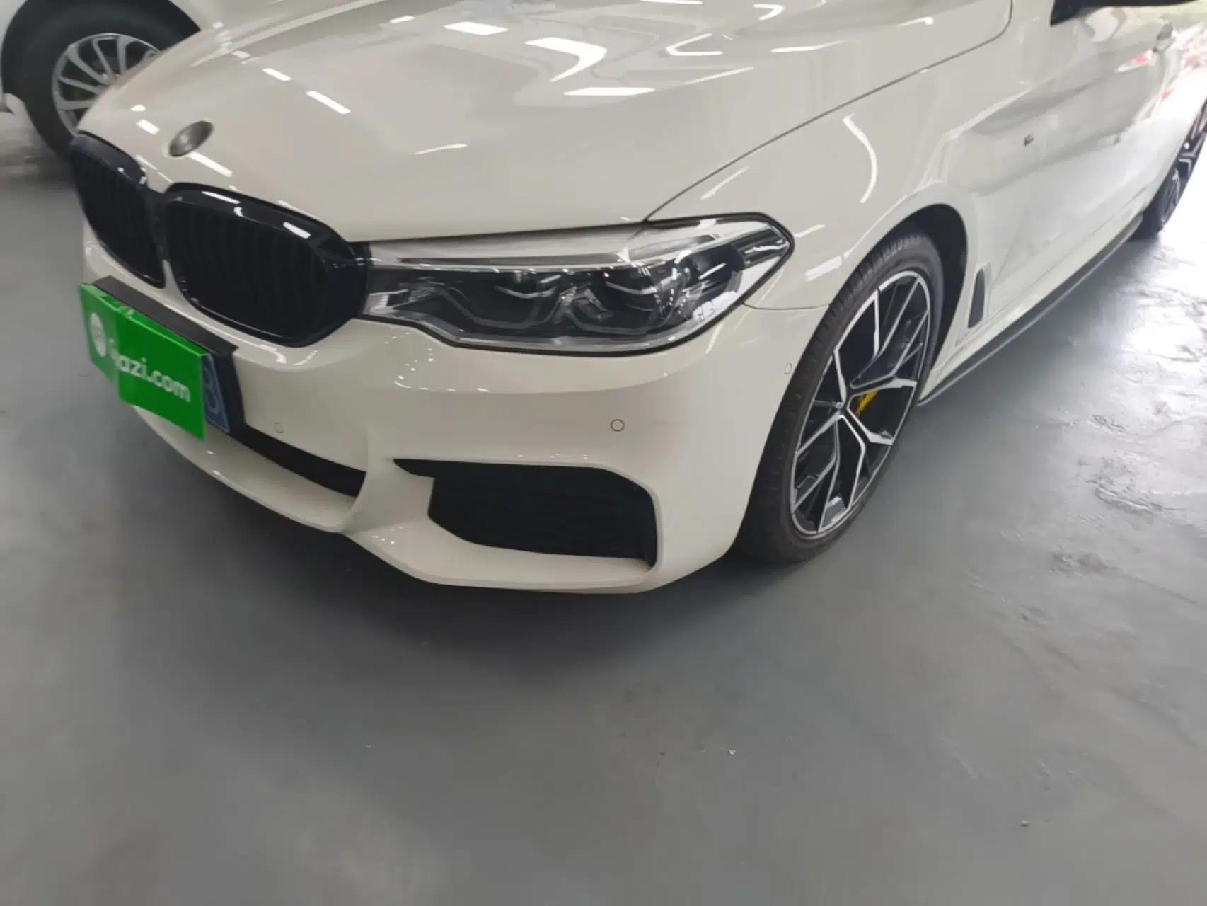 BMW 5 Series 2019 Facelifted 530i M Sport Package — миниатюра 8