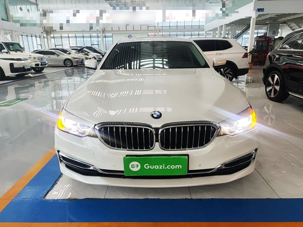 BMW 5 Series 2019 Facelifted 530Li Leading Edition Luxury Package — миниатюра 2