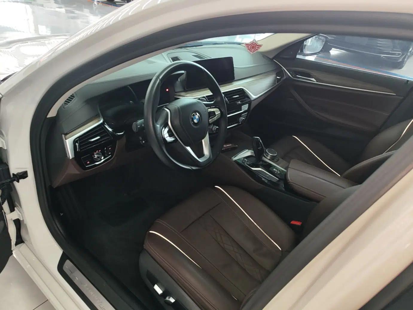 BMW 5 Series 2019 Facelifted 530Li Leading Edition Luxury Package — миниатюра 18