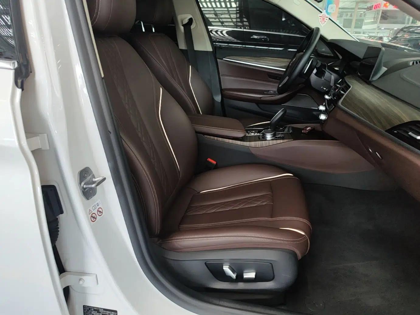 BMW 5 Series 2019 Facelifted 530Li Leading Edition Luxury Package — миниатюра 19