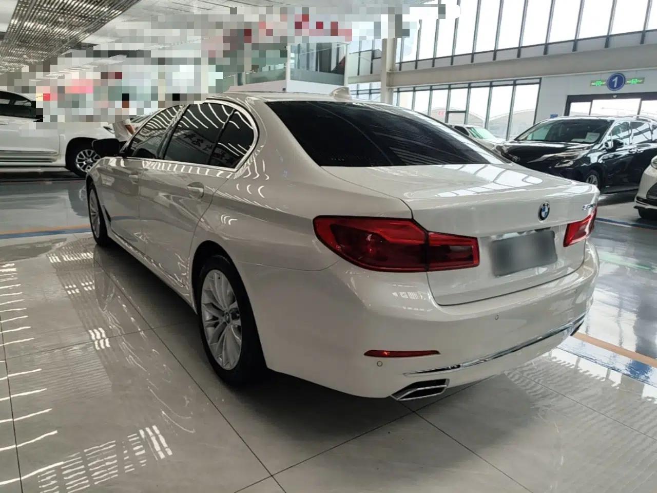 BMW 5 Series 2019 Facelifted 530Li Leading Edition Luxury Package — миниатюра 4