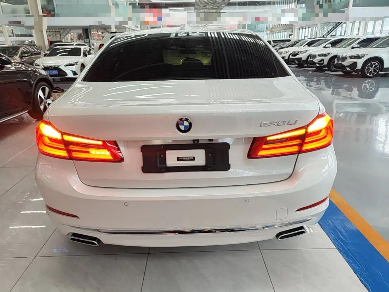 BMW 5 Series 2019 Facelifted 530Li Leading Edition Luxury Package — миниатюра 5