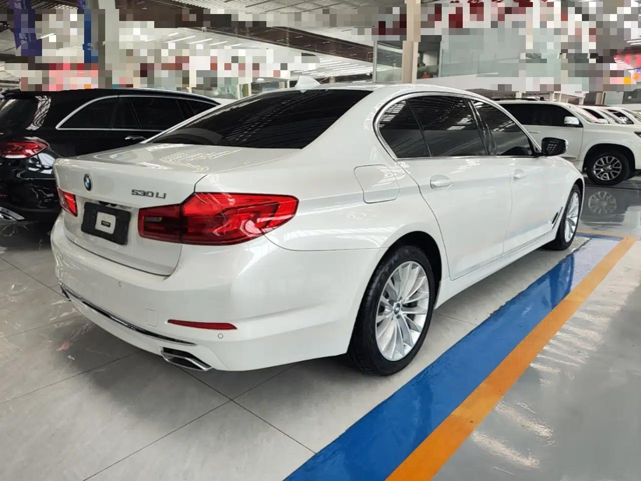 BMW 5 Series 2019 Facelifted 530Li Leading Edition Luxury Package — миниатюра 6