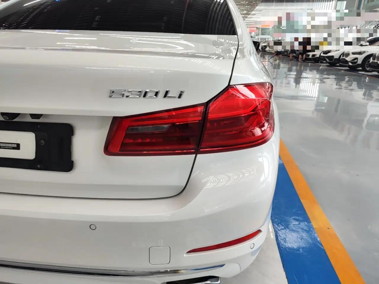 BMW 5 Series 2019 Facelifted 530Li Leading Edition Luxury Package — миниатюра 9