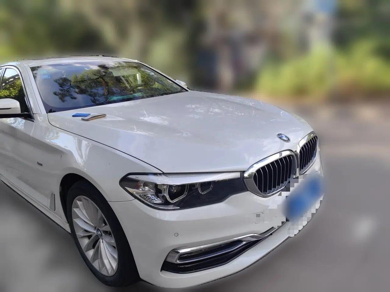 BMW 5 Series 2018 Revised Version 530Li Leading Edition Luxury Package — миниатюра 3