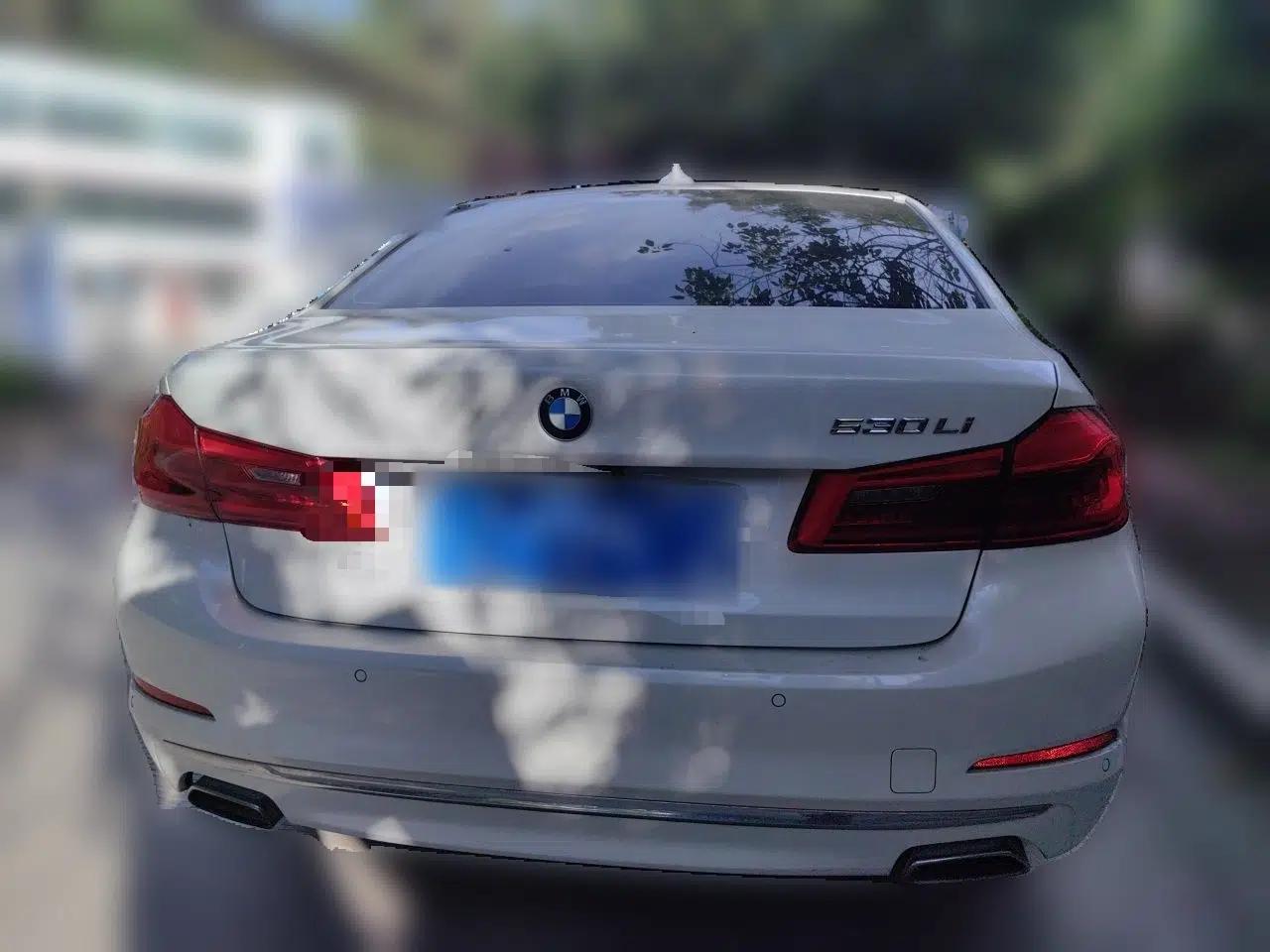BMW 5 Series 2018 Revised Version 530Li Leading Edition Luxury Package — миниатюра 5