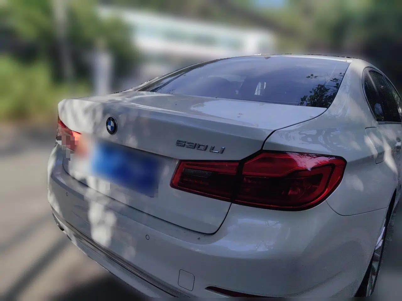 BMW 5 Series 2018 Revised Version 530Li Leading Edition Luxury Package — миниатюра 6