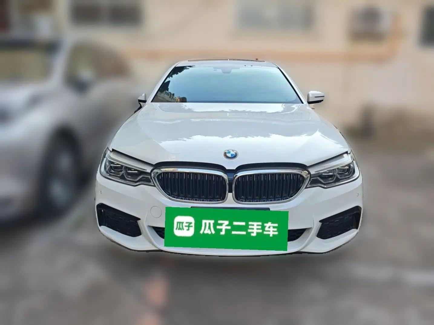 BMW 5 Series 2020 530Li xDrive M Sport Package — миниатюра 2