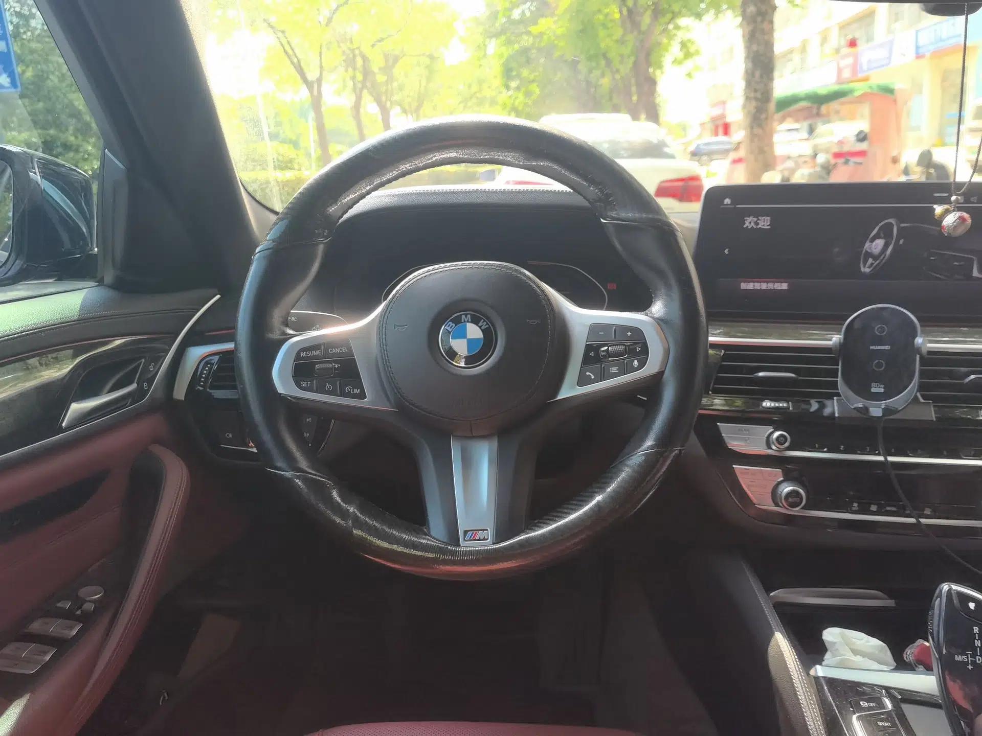 BMW 5 Series 2021 525Li M Sport Package — миниатюра 10