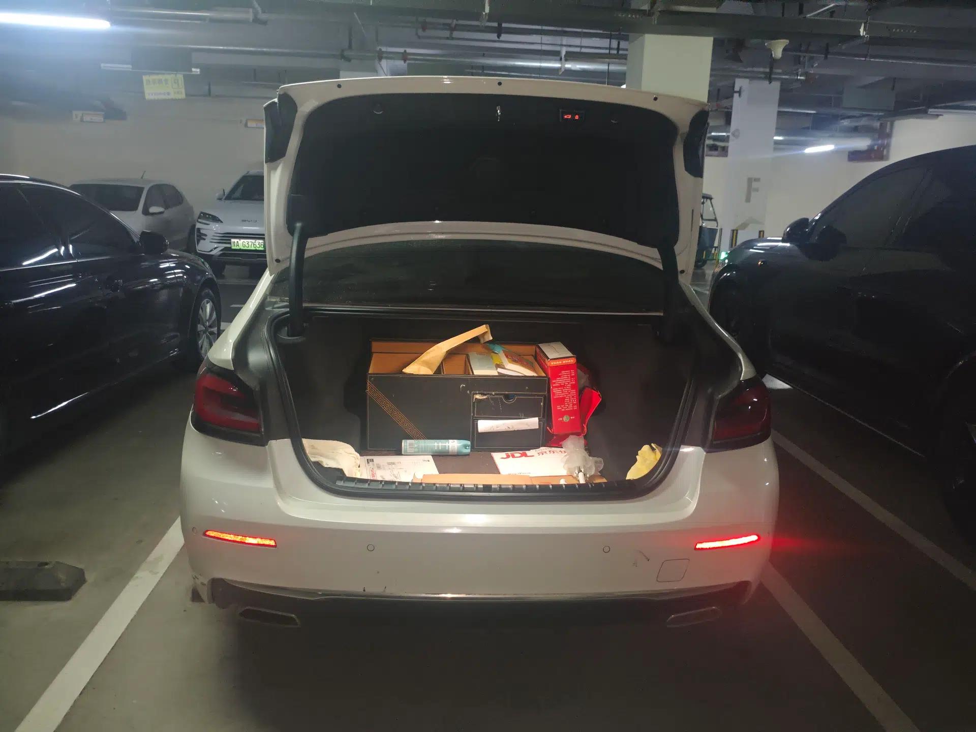 BMW 5 Series 2021 530Li Leading Luxury Package — миниатюра 19