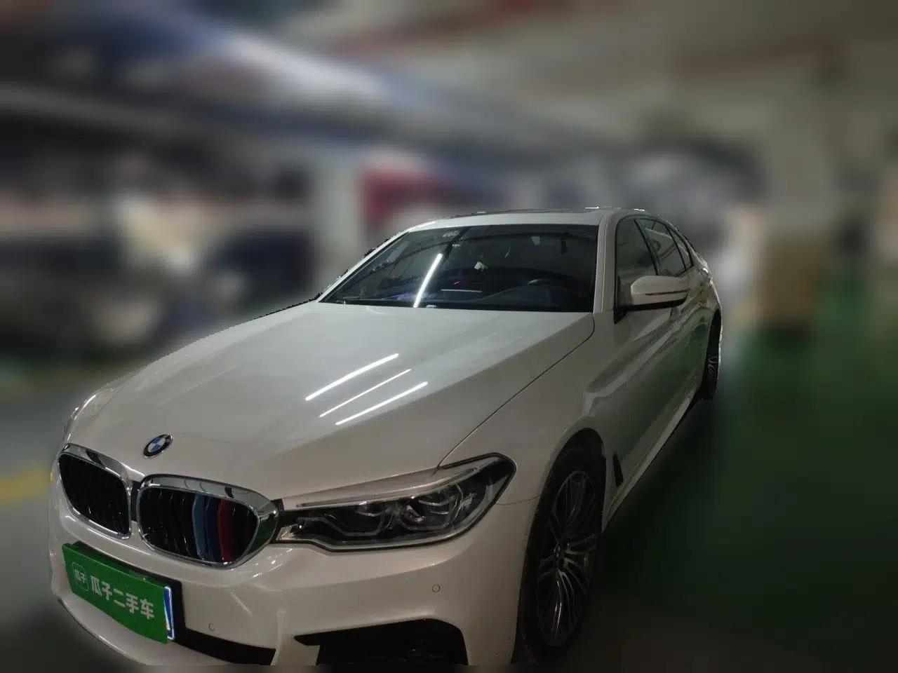 BMW 5 Series 2019 530Li xDrive M Sport Package — миниатюра 1