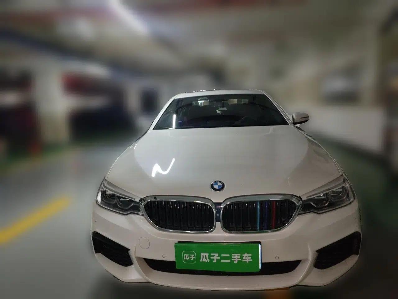 BMW 5 Series 2019 530Li xDrive M Sport Package — миниатюра 2