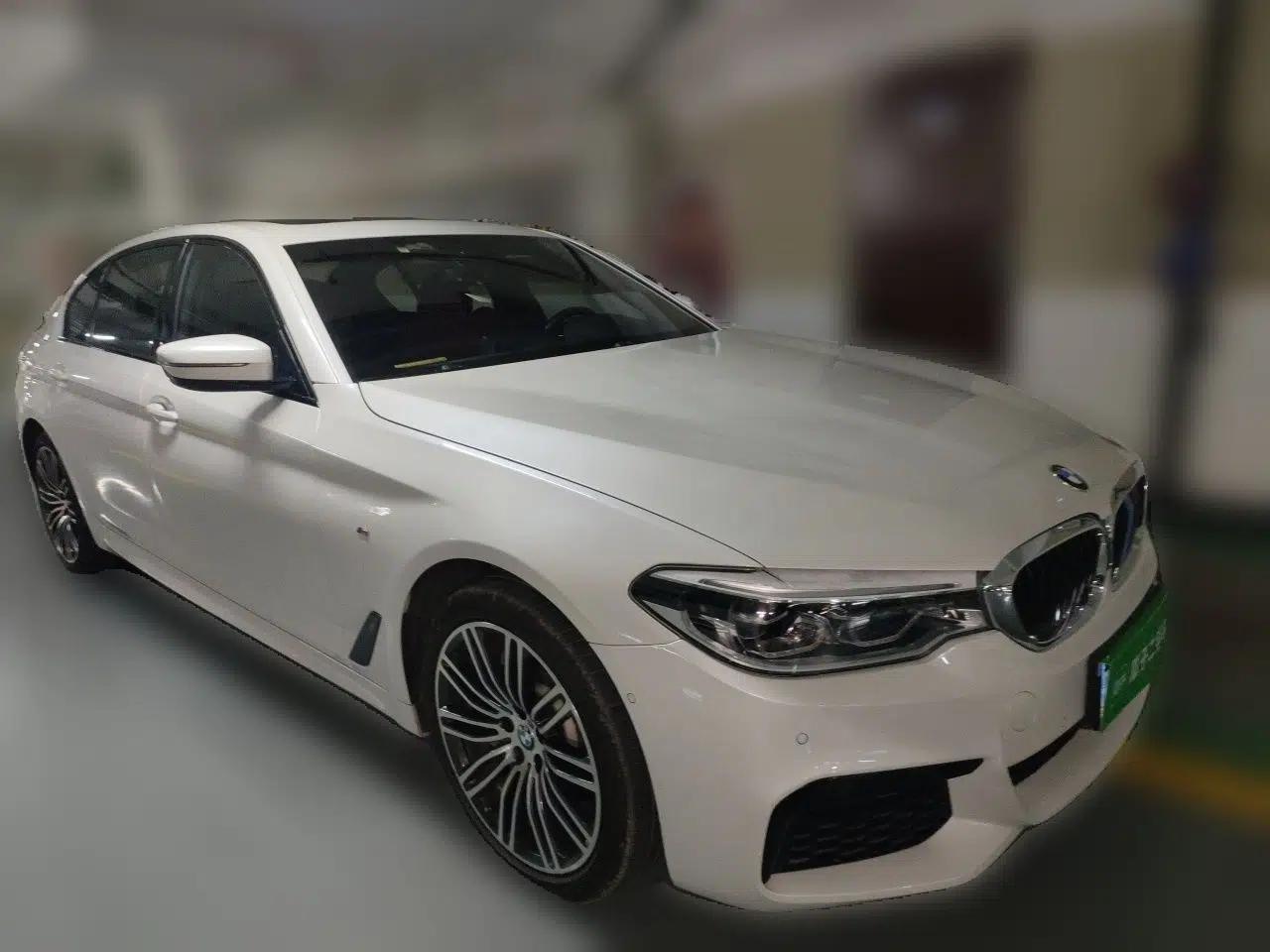 BMW 5 Series 2019 530Li xDrive M Sport Package — миниатюра 3