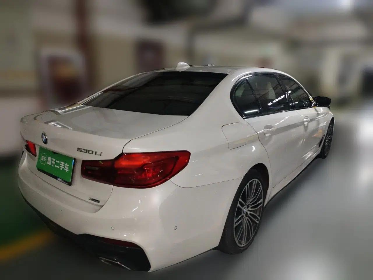 BMW 5 Series 2019 530Li xDrive M Sport Package — миниатюра 6