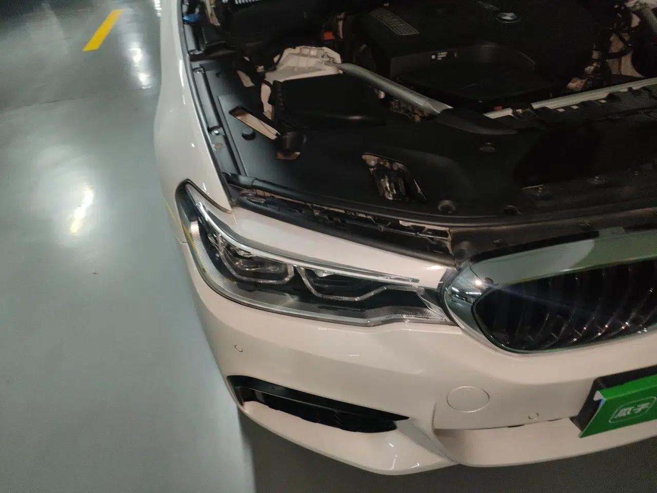 BMW 5 Series 2019 530Li xDrive M Sport Package — миниатюра 7
