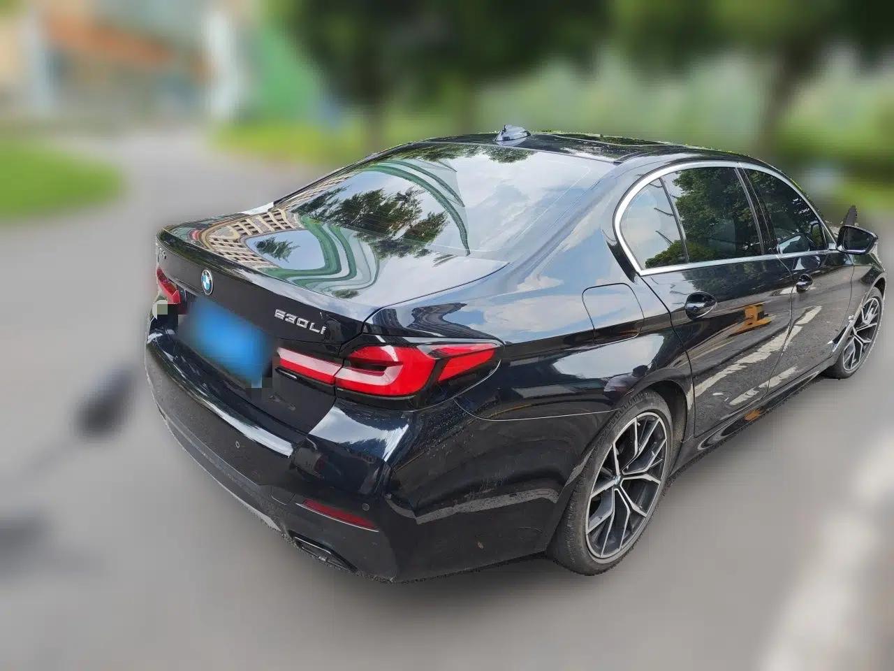 BMW 5 Series 2022 530Li Luxury Edition M Sport Package — миниатюра 6