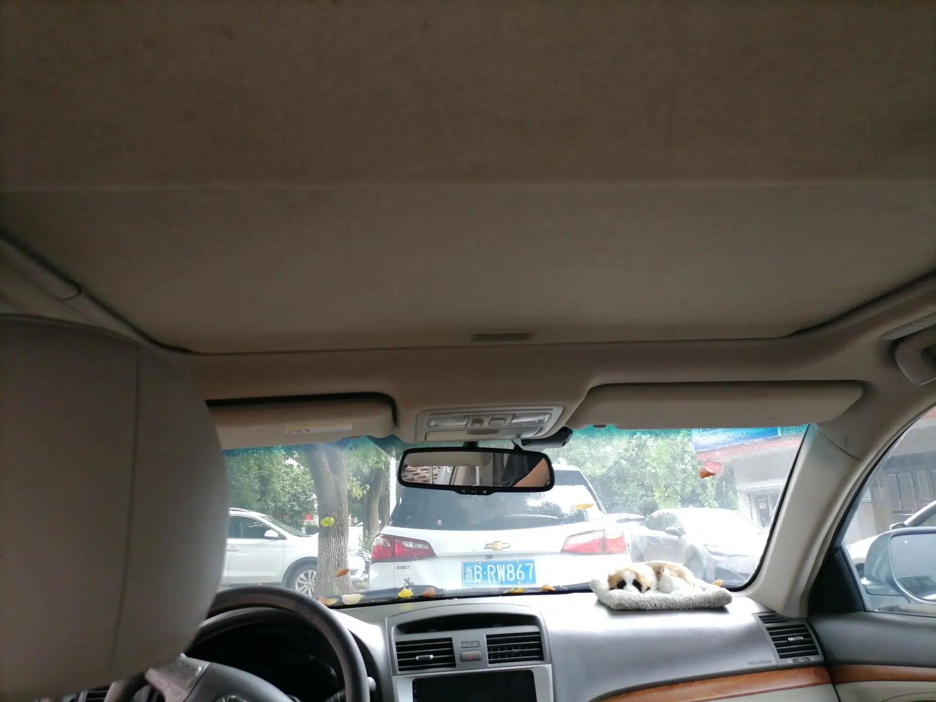 Toyota Camry 2010 240HG Luxury Edition — миниатюра 18