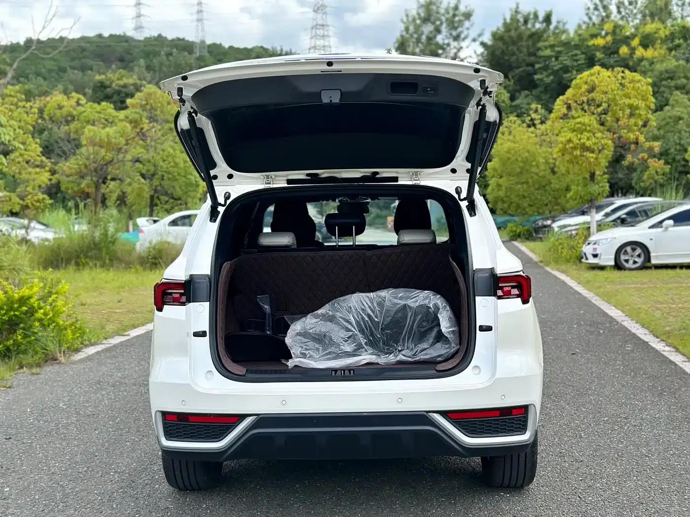 2022 EcoBoost 170 Premium Model (Facelift) — миниатюра 21
