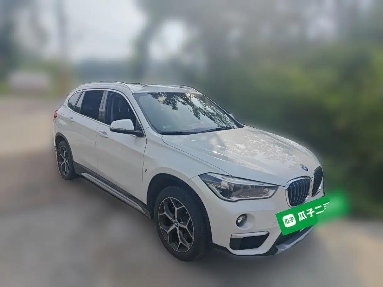 BMW X1 New Energy 2018 xDrive25Le Luxury Model — миниатюра 3