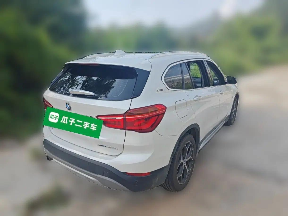 BMW X1 New Energy 2018 xDrive25Le Luxury Model — миниатюра 6