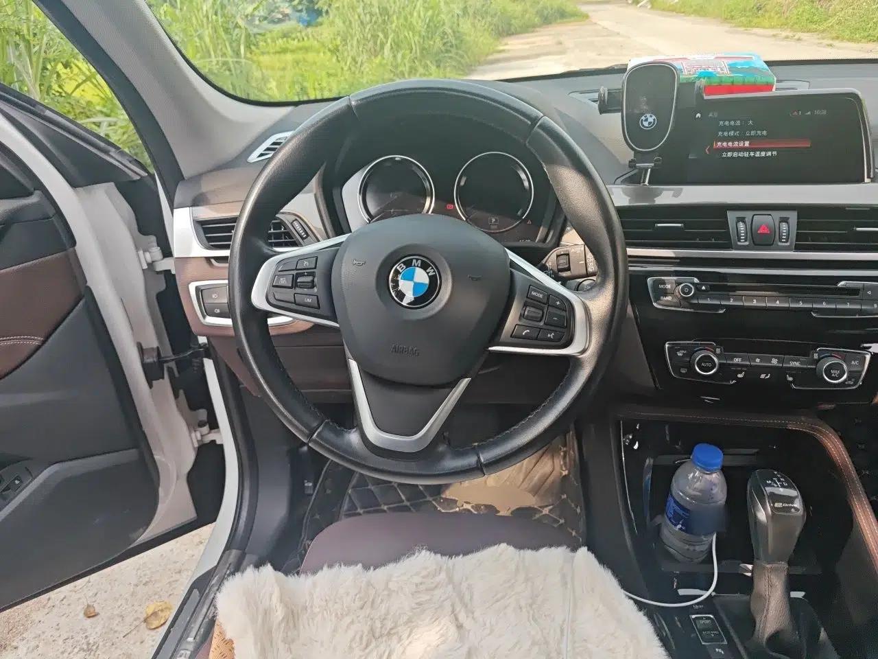 BMW X1 New Energy 2018 xDrive25Le Luxury Model — миниатюра 10