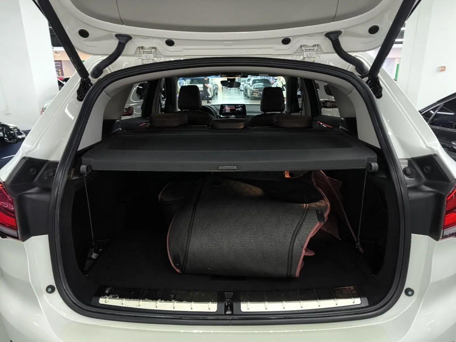 BMW X1 2020 xDrive25Li Luxury Edition — миниатюра 22