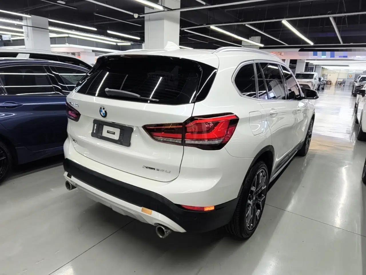 BMW X1 2020 xDrive25Li Luxury Edition — миниатюра 6