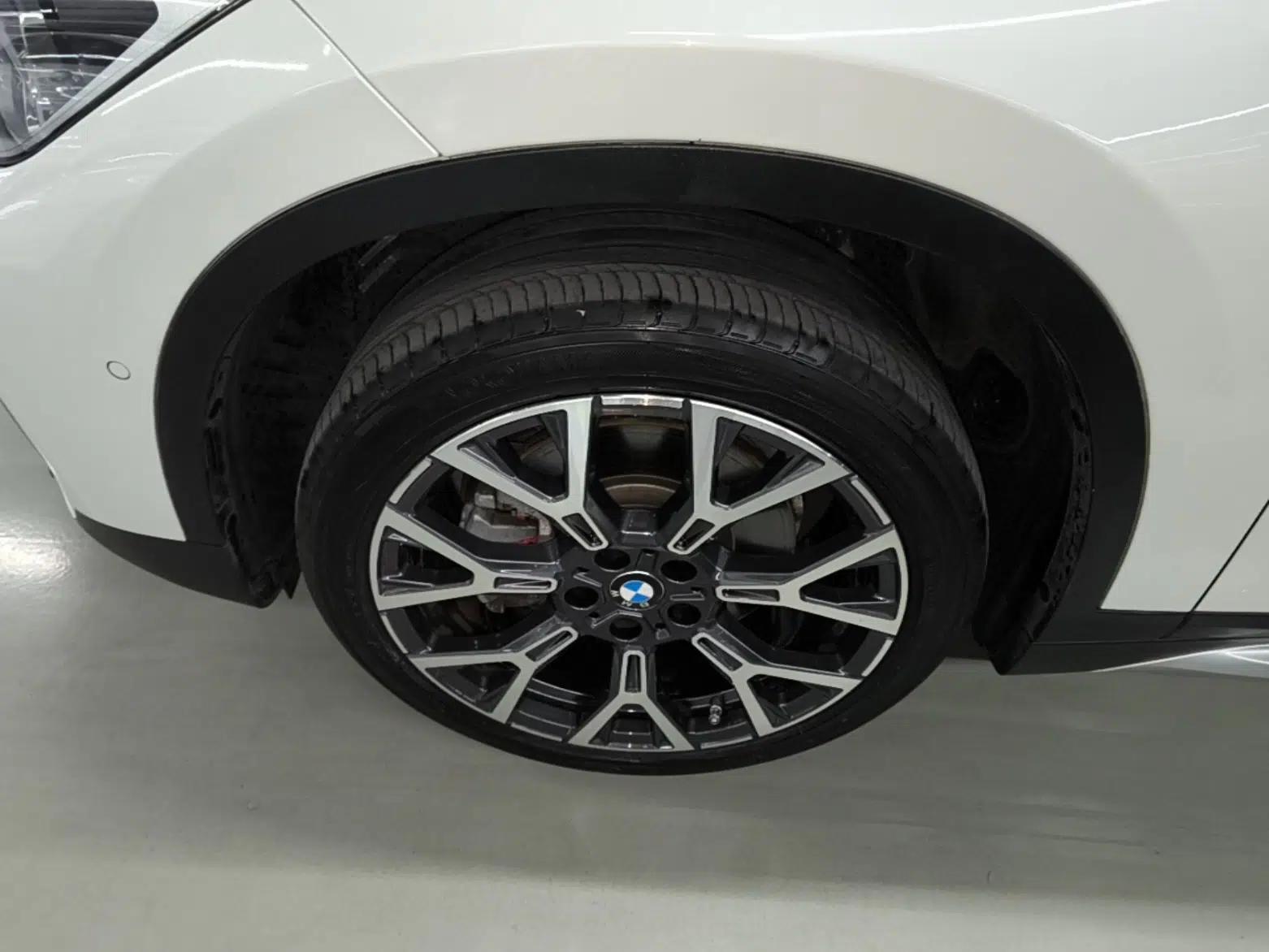 BMW X1 2020 xDrive25Li Luxury Edition — миниатюра 10