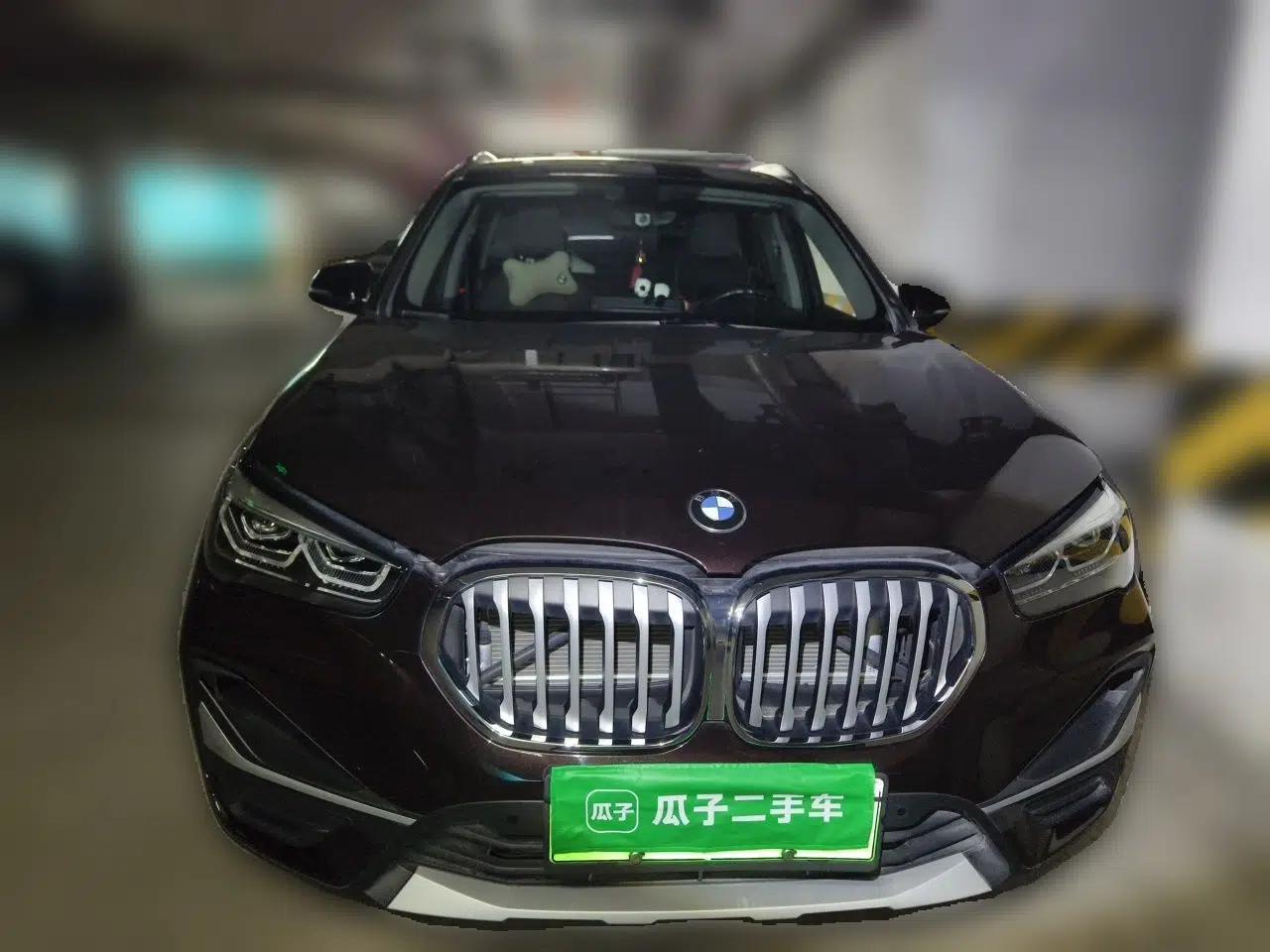 BMW X1 New Energy 2020 xDrive30Le Premium Edition — миниатюра 2