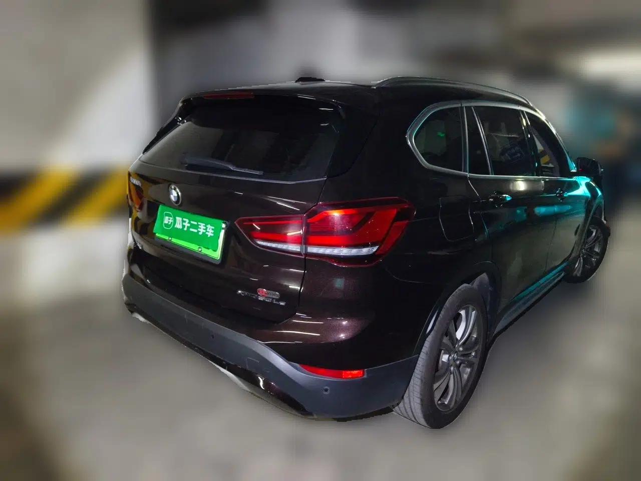 BMW X1 New Energy 2020 xDrive30Le Premium Edition — миниатюра 6