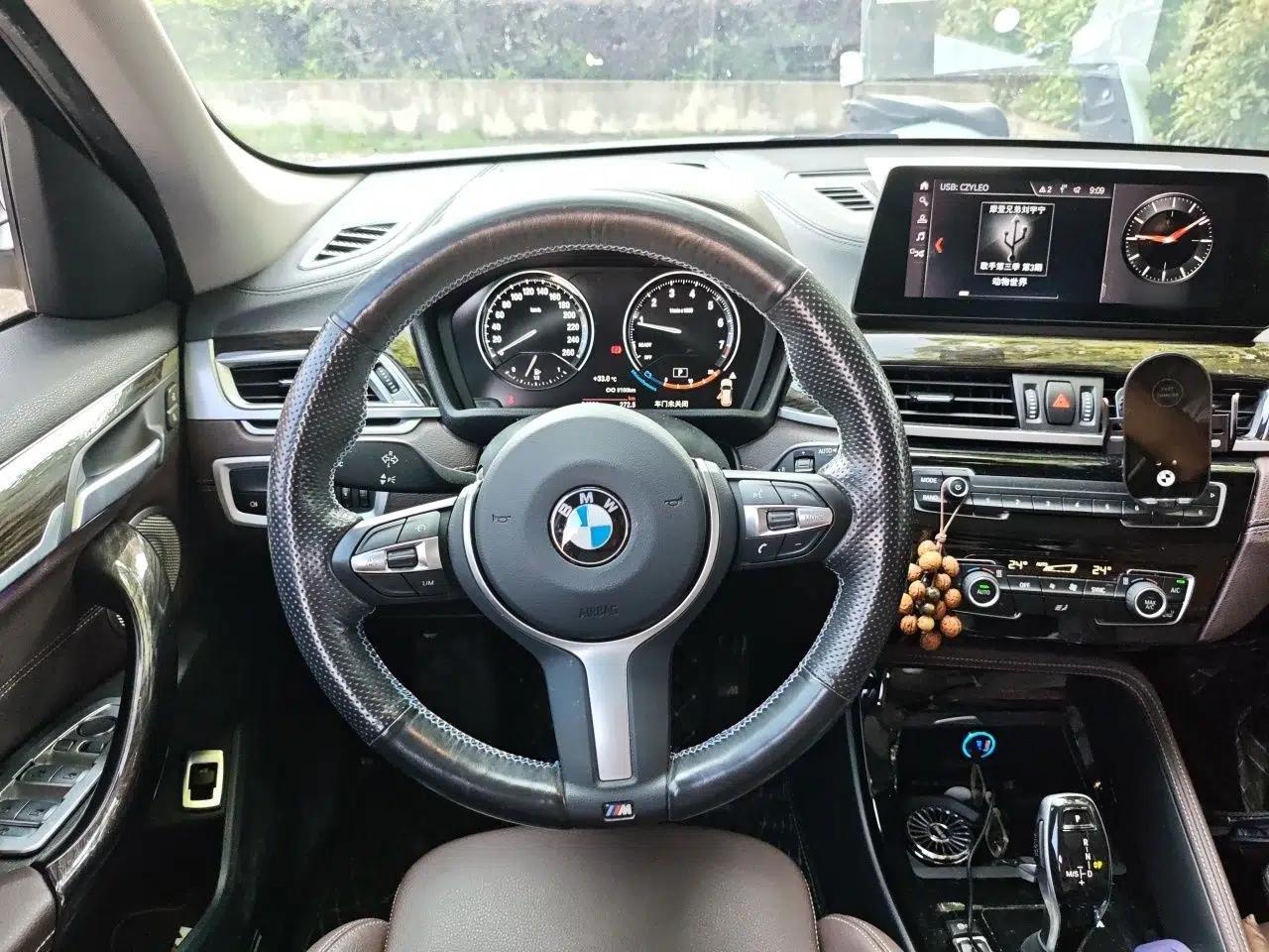 BMW X1 2020 xDrive25Li Luxury Edition — миниатюра 10
