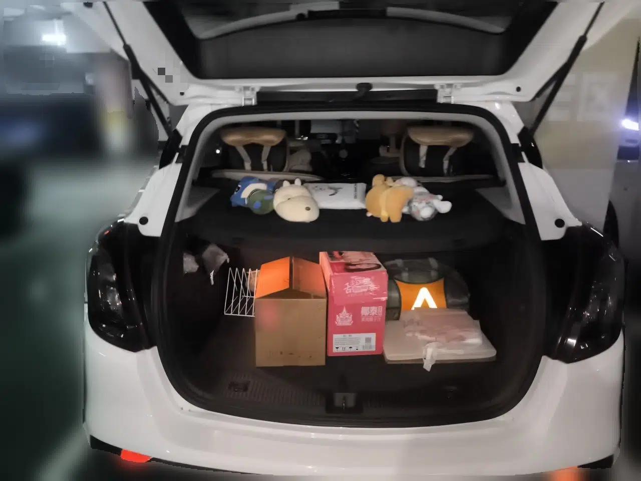 Buick Encore 2016 18T Automatic Two-Wheel Drive Urban Elite Model — миниатюра 19