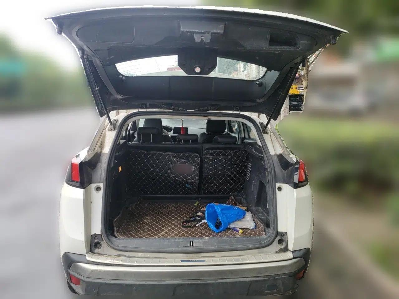 Peugeot 4008 2017 350THP Elite Edition — миниатюра 19