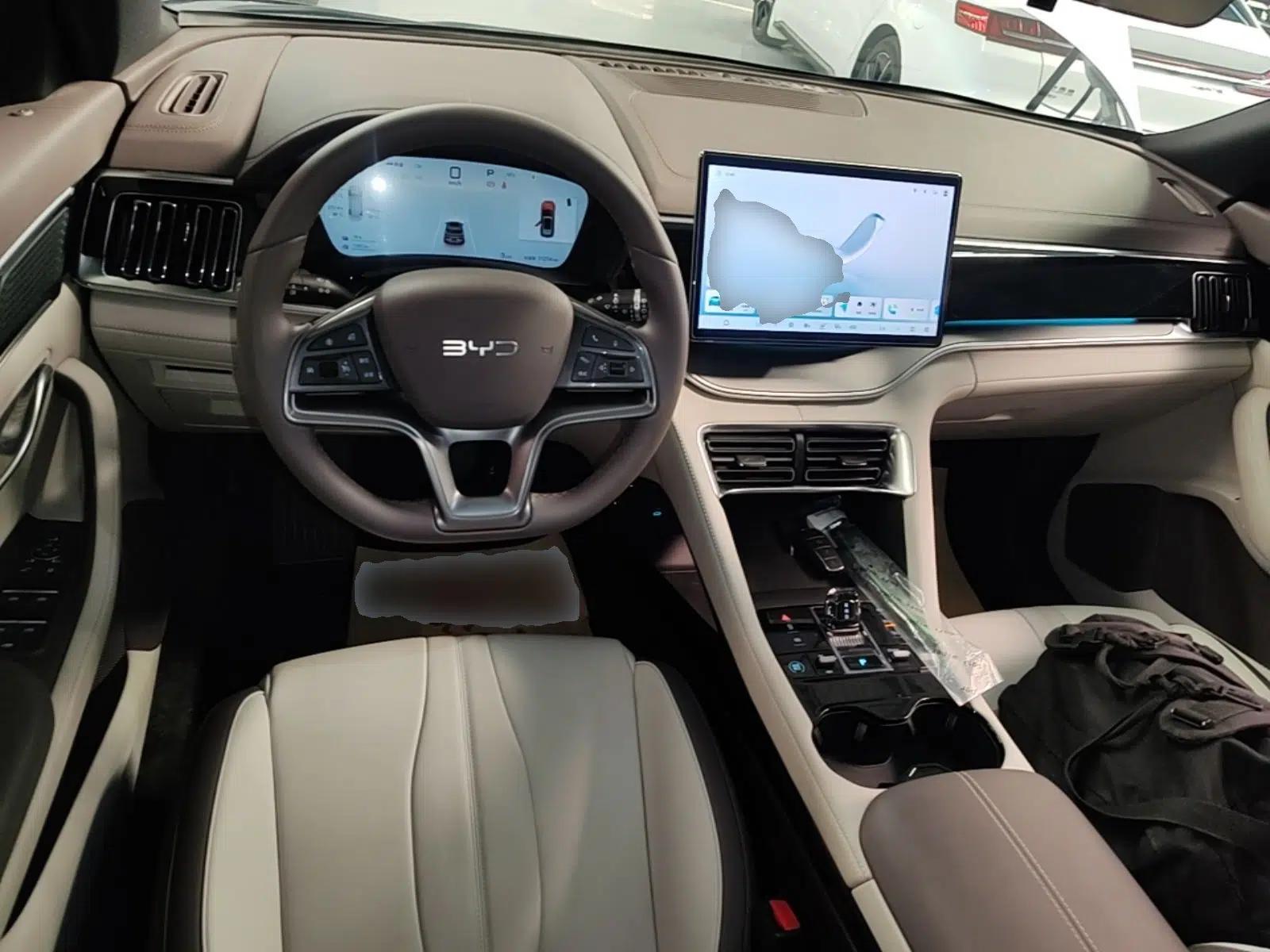BYD Song PLUS New Energy 2025 DM-i 112KM Prestige Model — миниатюра 12