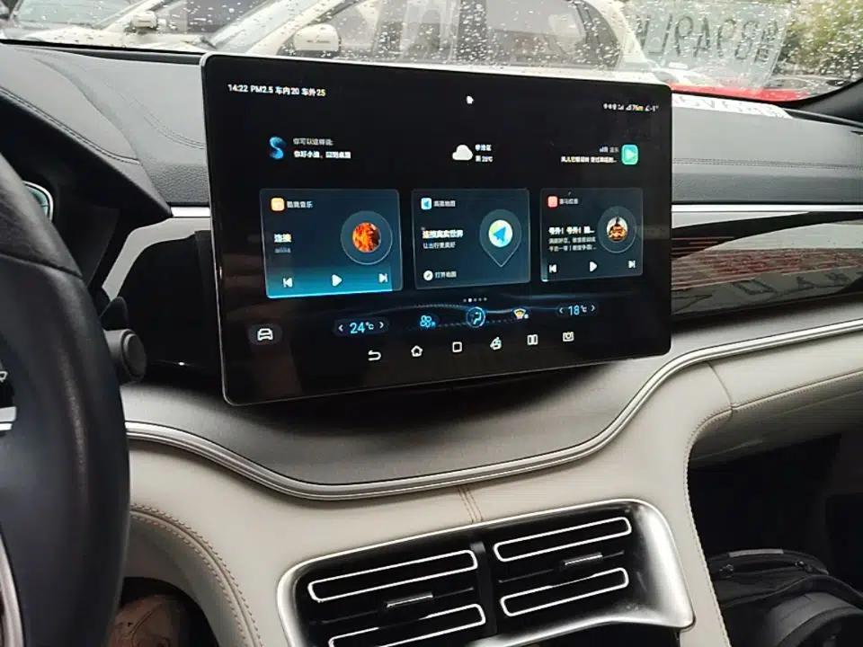BYD Song PLUS New Energy 2021 EV Flagship Model — миниатюра 15