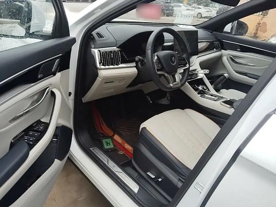 BYD Song PLUS New Energy 2021 EV Flagship Model — миниатюра 18