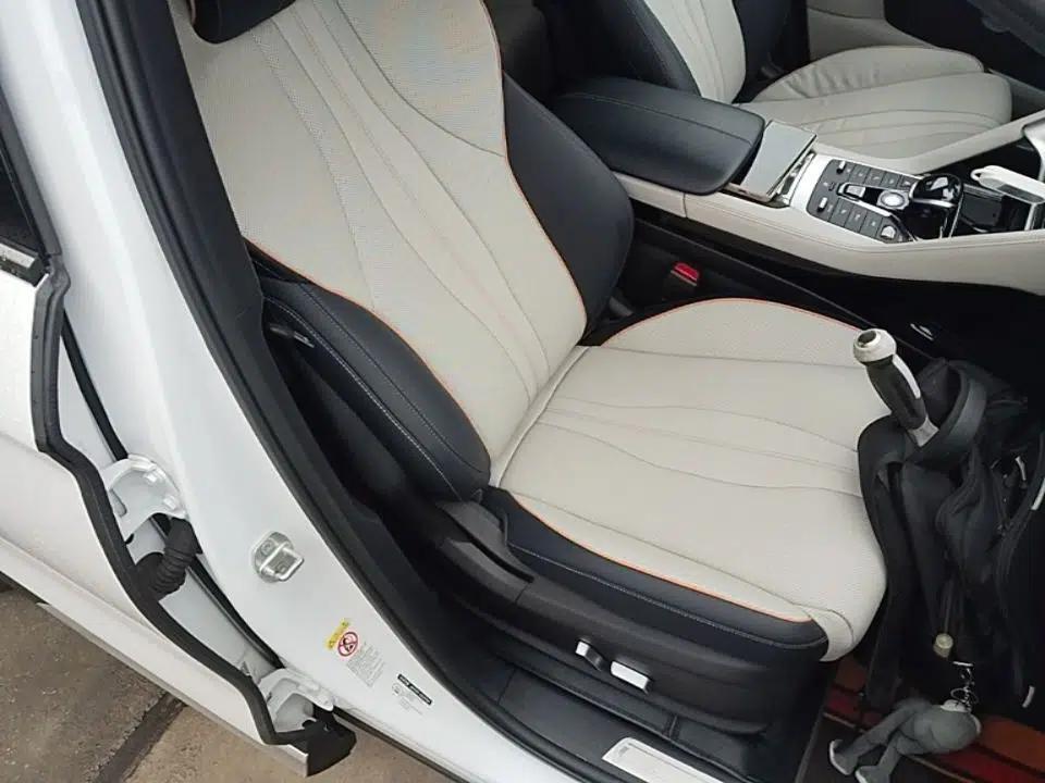 BYD Song PLUS New Energy 2021 EV Flagship Model — миниатюра 19