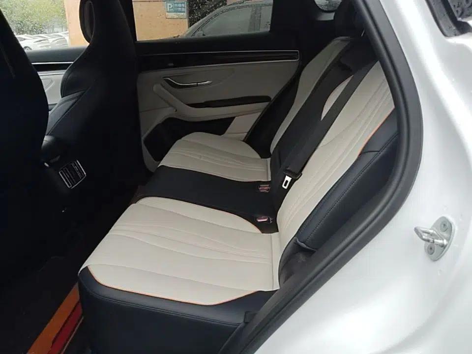 BYD Song PLUS New Energy 2021 EV Flagship Model — миниатюра 20
