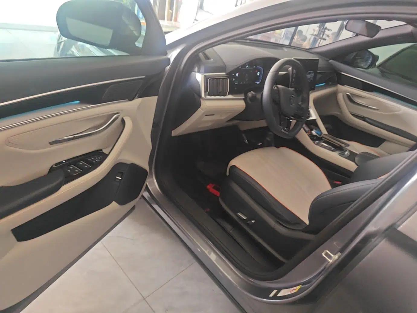BYD Song PLUS New Energy 2021 DM-i 110KM Flagship Model — миниатюра 23