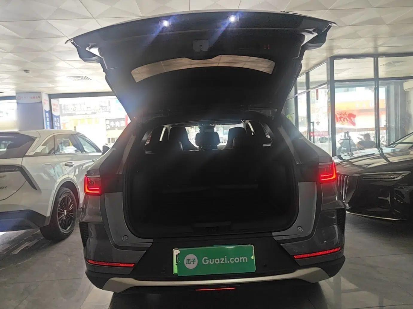 BYD Song PLUS New Energy 2021 DM-i 110KM Flagship Model — миниатюра 27