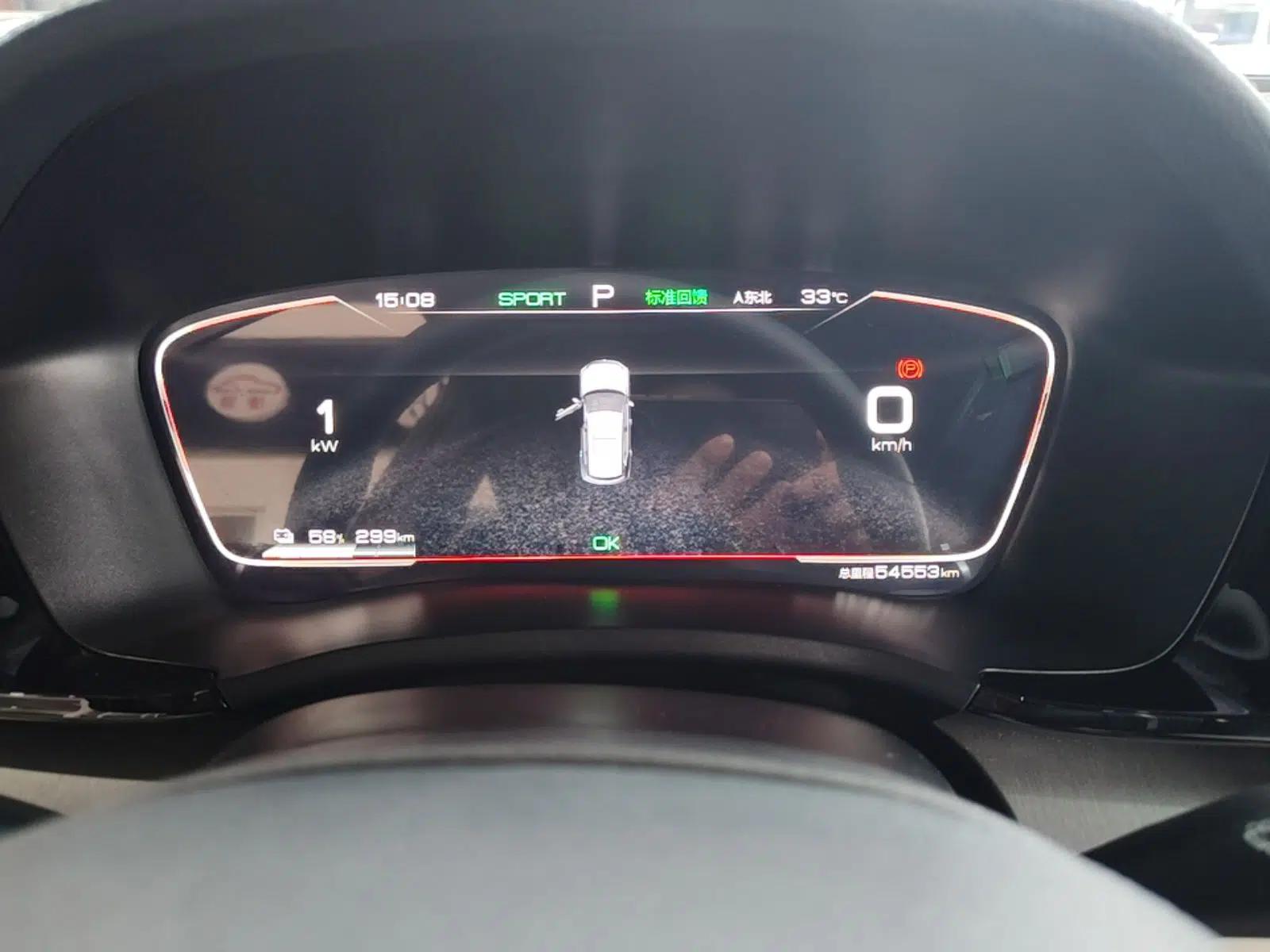 BYD Song PLUS New Energy 2021 EV Deluxe Model — миниатюра 14